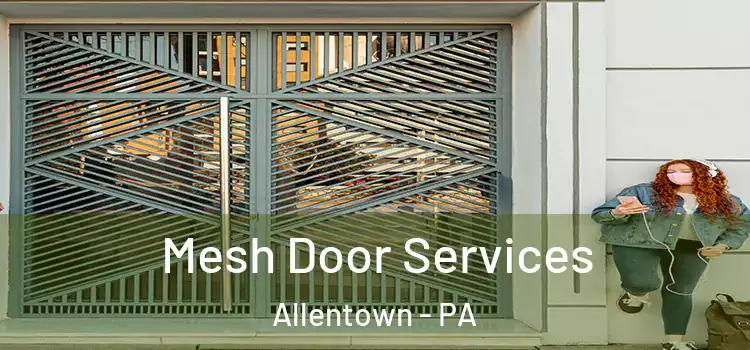  Mesh Door Services Allentown - PA